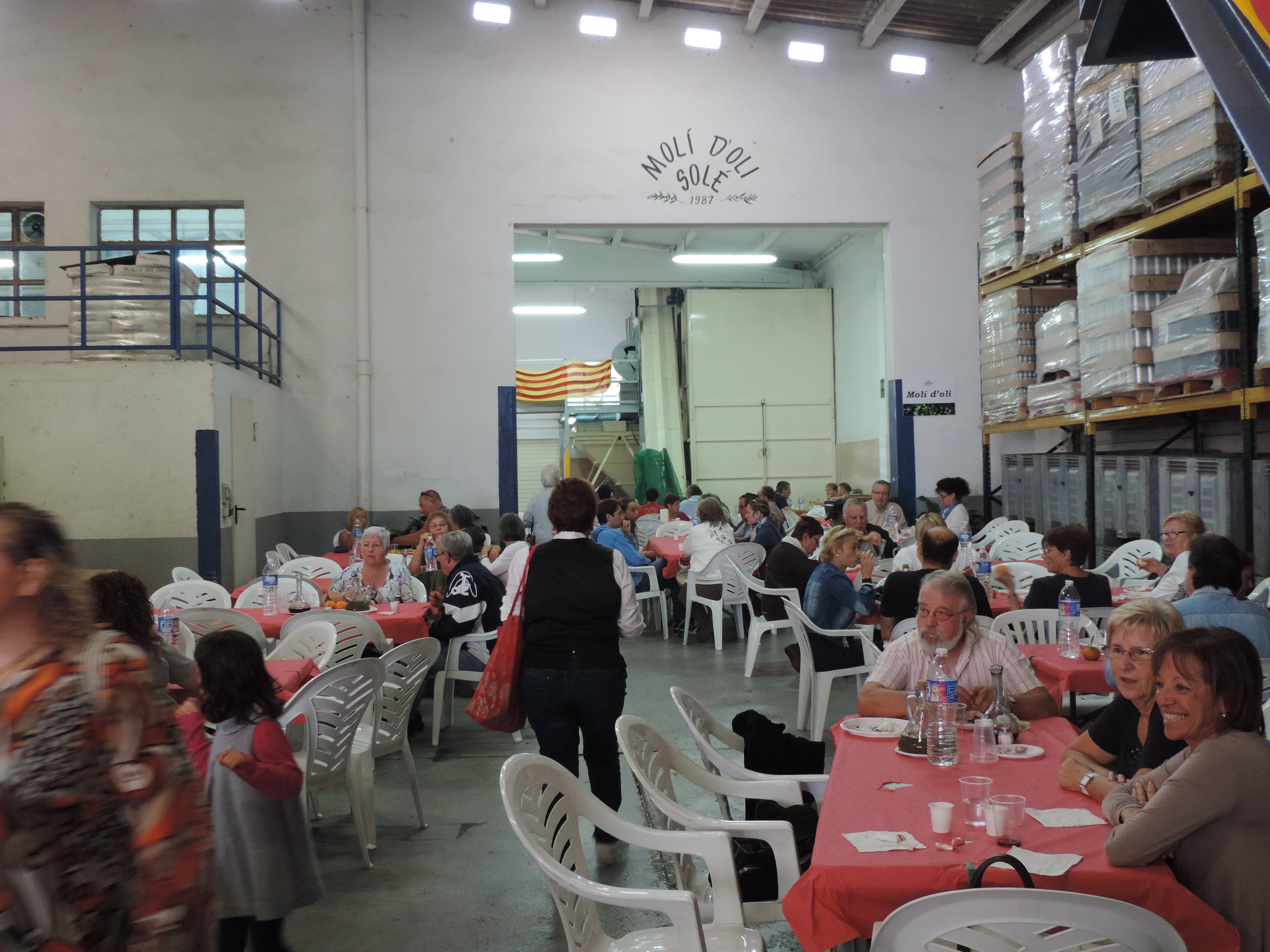 festa_oli_nou_1.jpg festa_oli_nou_1.jpg